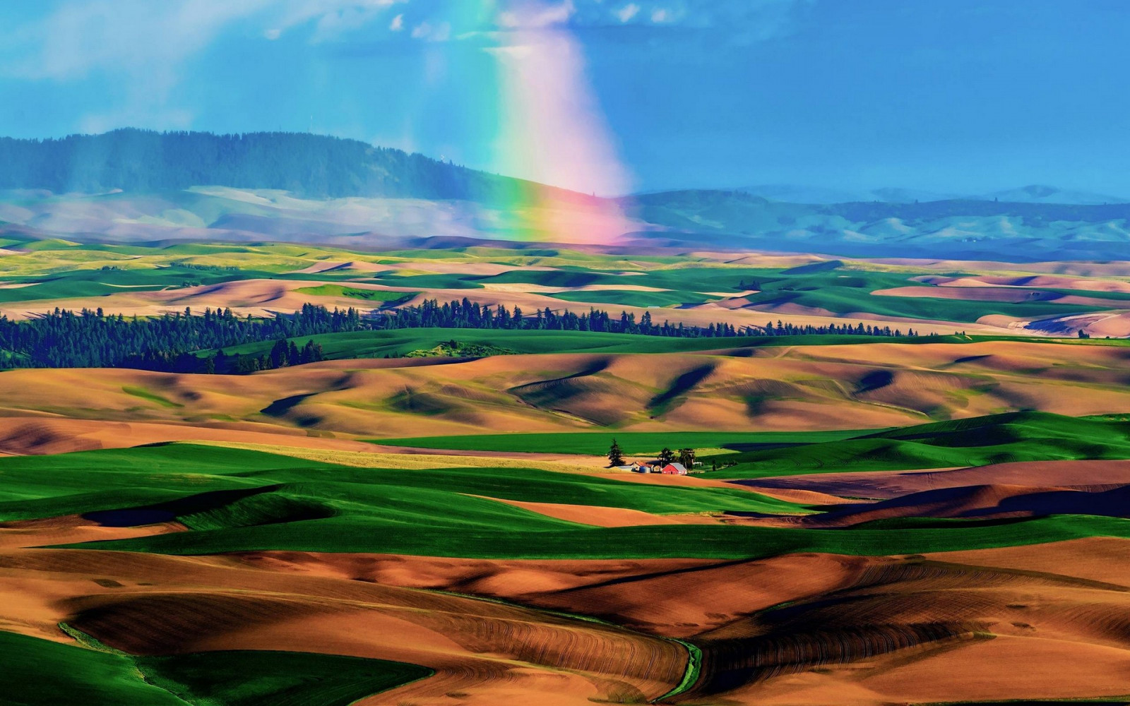 landschap, heuvel, veld-, horizon, plateau, grasland, vlakte, natuurlijke omgeving, computer wallpaper, ecosysteem