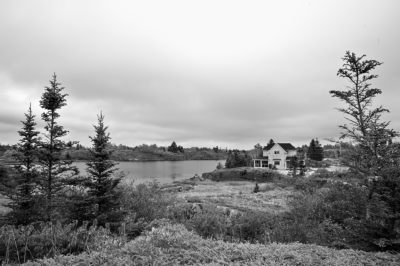stromy, krajina, bílý, Černá, černobílý, moře, jezero, voda, pobřeží, odraz, nebe, zima, větev, Dům, řeka, Kanada, Nikon, Carl, mrak, strom, cestovat, list, rostlina, tělesné, Zeiss, ca, kust, T, fotky, Distagon, a, zwartwit, nikond700, D700, zwart, vtip, zf, ZF2, Černý a bílý, monochromatické fotografování, zee, nové Skotsko, pouhý, Reis, Stonehurst, 282, 228, Distagon282zf, Distagont228