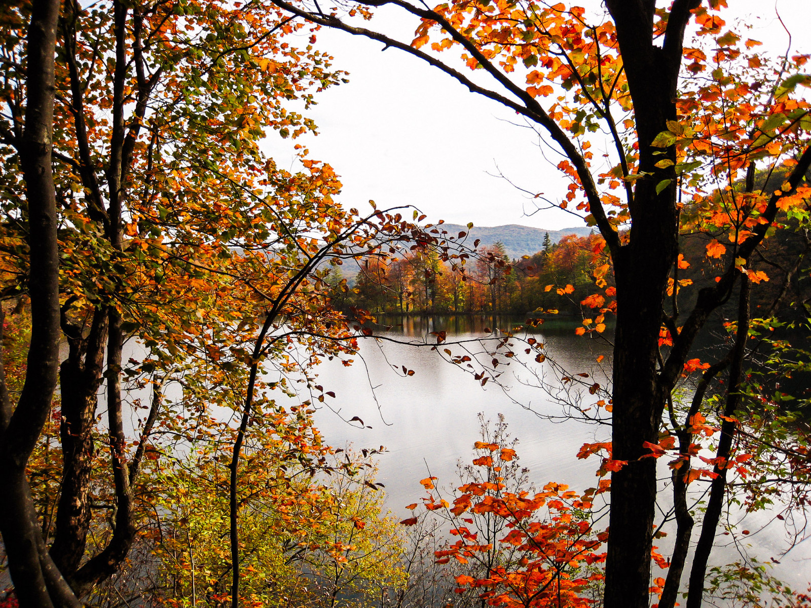 Landschaft, See, Wasser, Natur, Betrachtung, Himmel, Ast, Kanon, Teich, Frühling, Kroatien, 2007, Baum, Herbst, Blatt, Pflanze, Wald, Hain, Holzige Pflanze, Mäßiger Laub- und Mischwald, Abscheulich, Ahornbaum, Ahornblatt, Plitvice