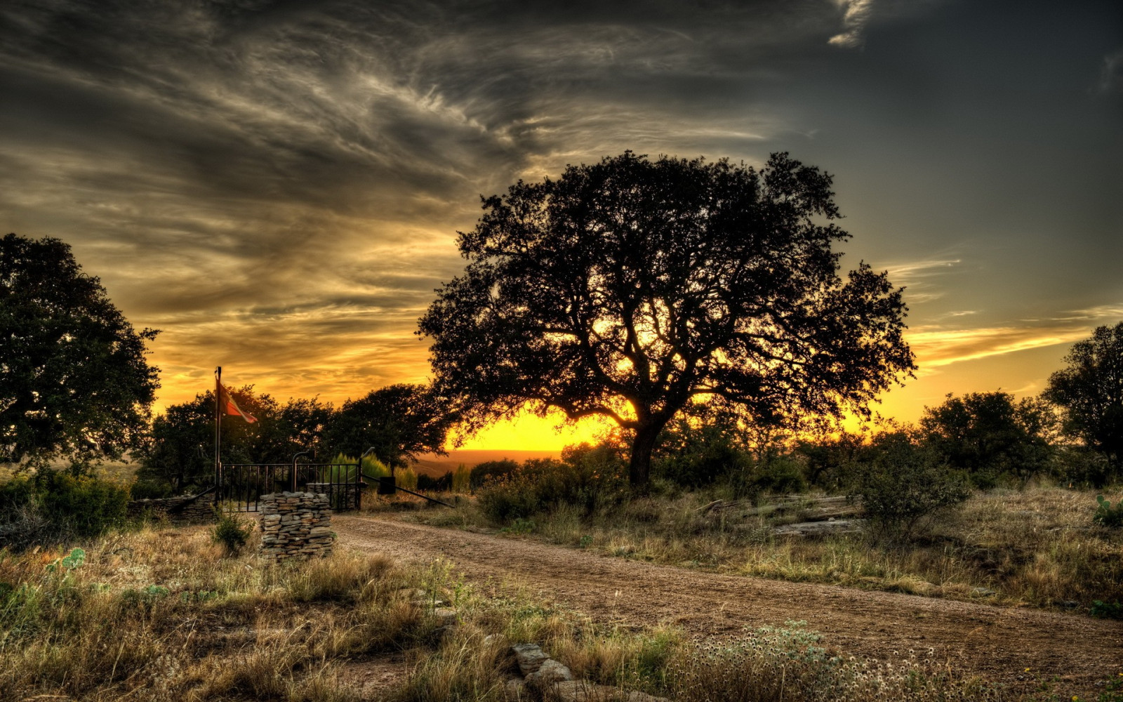 solljus, träd, landskap, solnedgång, natur, gräs, himmel, fält, soluppgång, kväll, morgon-, Sol, HDR, horisont, staket, skymning, moln, träd, höst, blad, gryning, växt, äng, enkel, prärie, landsbygd, atmosfärs fenomen, vedartad växt, savann
