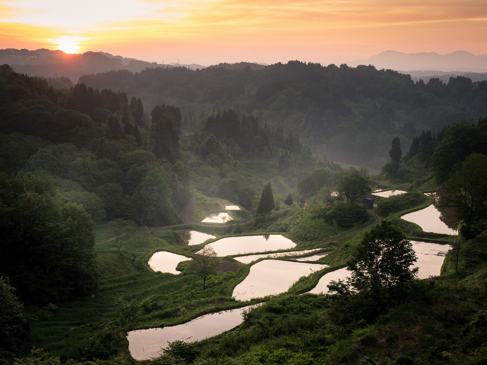 sollys, træer, landskab, Skov, bjerge, bakke, sø, natur, fotografering, morgen, tåge, flod, dal, ødemark, rismark, jungle, plateau, rækkehuse felt, bjerg, atmosfærisk fænomen, bjergrige landskabsformer, bjergkæde