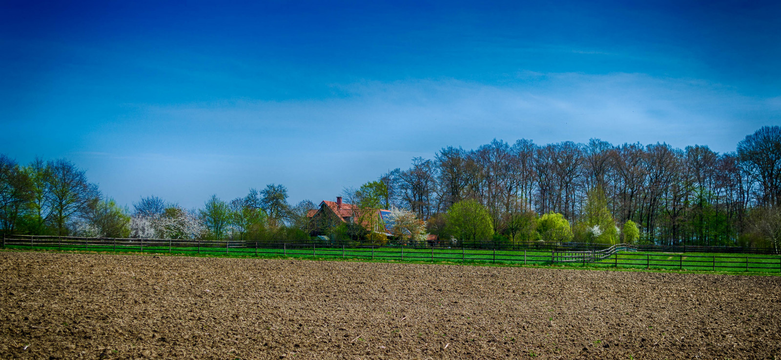 sollys, landskab, bakke, natur, afspejling, græs, himmel, Mark, grøn, aften, morgen, Tyskland, gård, HDR, horisont, panorama, dal, 2015, tone mapping, Sky, træ, efterår, blad, Landschaft, bjerg, blomst, græsarealer, plante, landbrug, eng, almindeligt, NRW, græsplæne, jord, nikond5100, landdistrikt, computer tapet, meteorologisk fænomen, s dkirchen, hdrefexpro2, Bauernhaus, nikon1855mm, weisdornbl te, westerfelde, lightroomcc2015