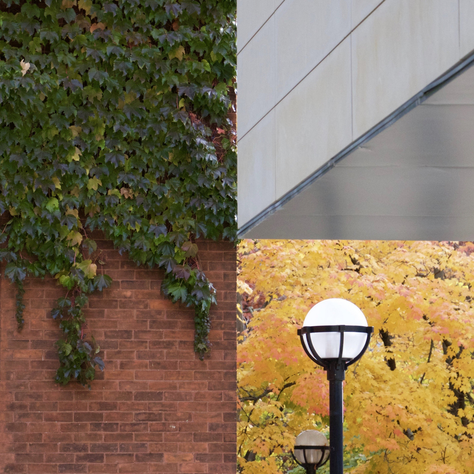 Wallpaper 2828x2828 px, architecture, bricks, building, leaves