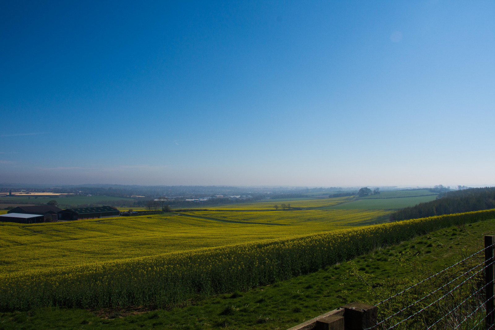 luce del sole, paesaggio, collina, erba, cielo, campo, verde, giallo, blu, Inghilterra, sera, mattina, nebbia, azienda agricola, orizzonte, atmosfera, Nikon, UK, paesaggio mount, nebbioso, altopiano, rurale, steppa, colza, nazione, nube, albero, prateria, campagna, pascolo, cielo blu, chiaro, canola, agricoltura, prato, pianura, Gran Bretagna, giorno, D7200, Gran Bretagna, nikond7200, cieli, polder, montanaro, prateria, raccolto, area rurale, terreno, impianto di senape, ecoregione, countydurham, Shildon, Duram, Bishopauckland, Iansanderson