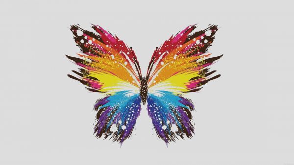 colorful, wings, illustration, digital art, simple background, minimalism