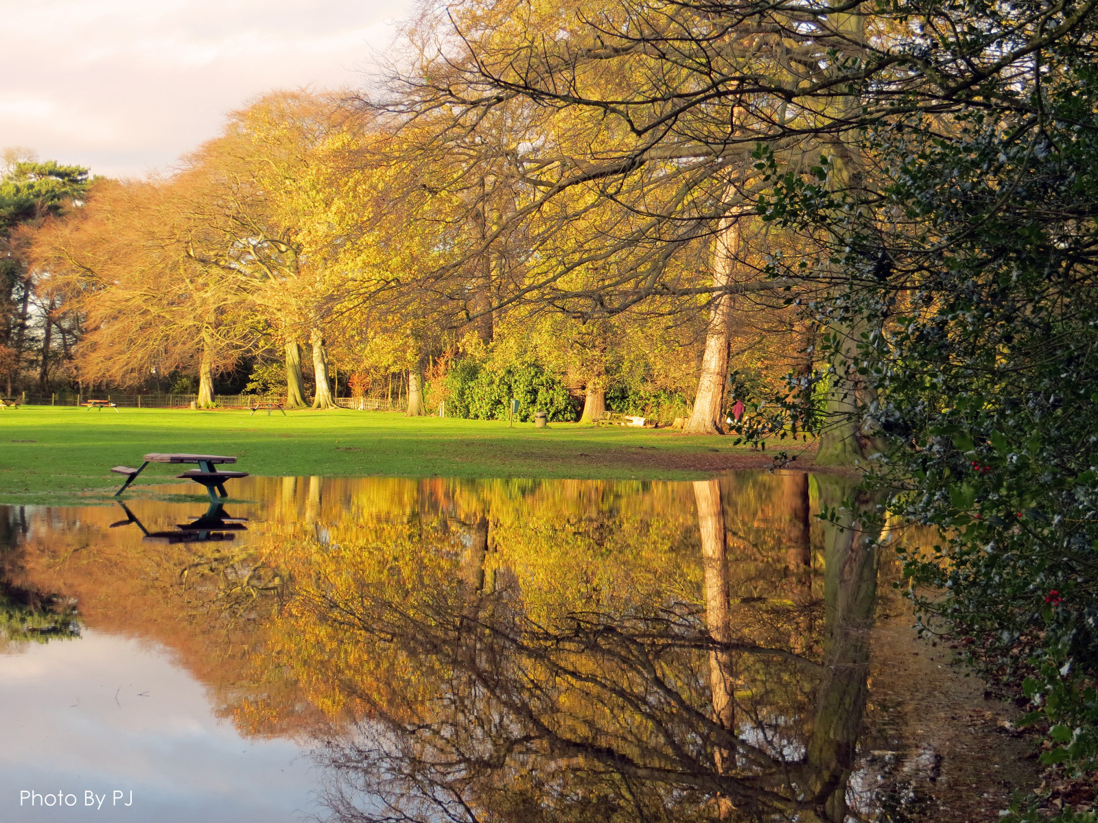 slunečnímu záření, stromy, krajina, les, Příroda, odraz, park, ráno, řeka, piknik, divočina, rybník, proud, listopad, 2012, strom, podzim, plocha, list, rostlina, sezóna, mygearandme, odrazy, lavice, mygearandmepremium, mygearandmebronze, mygearandmesilver, mygearandmegold, rememberthatmomentlevel1, rememberthatmomentlevel2, rememberthatmomentlevel4, rememberthatmomentlevel3, rememberthatmomentlevel9, rememberthatmomentlevel5, rememberthatmomentlevel6, rememberthatmomentlevel10, zálesí, venkov, dřevina, park, rememberthatmomentlevel7, rememberthatmomentlevel8, povodně, Elvaston, elvastoncastle, elvastonpark, záplava, místa k sezení