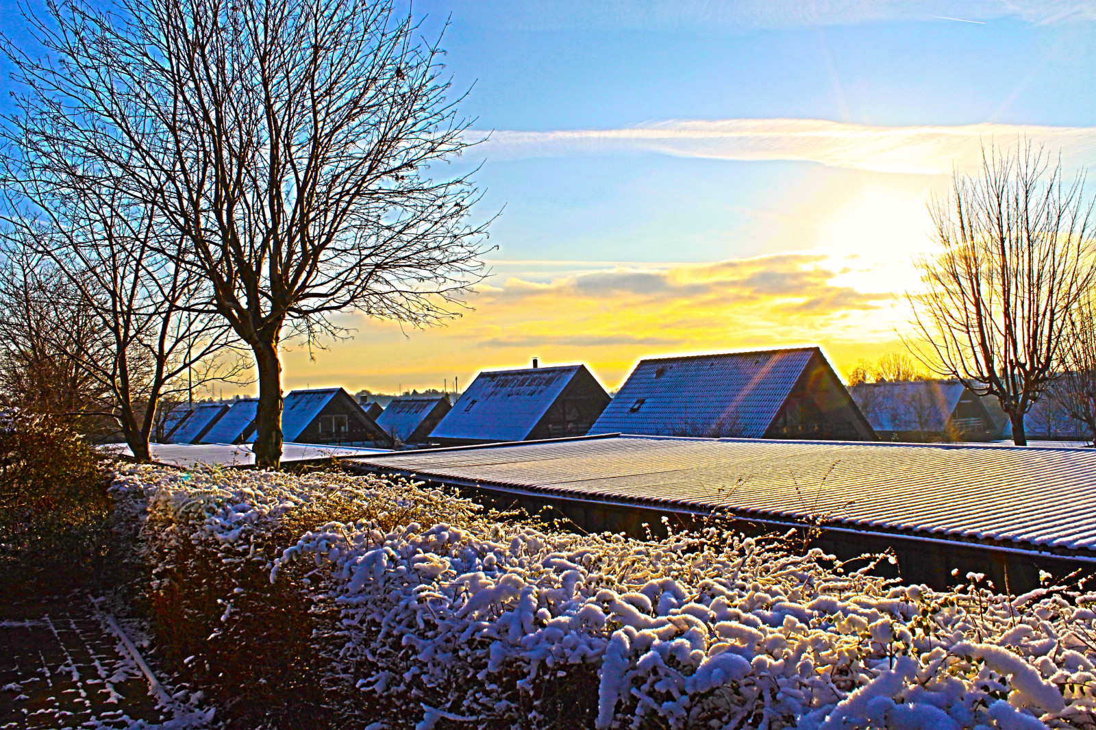 Wallpaper Sunlight Sunset Sky Snow Winter Evening Morning Sun Denmark Light Tree 