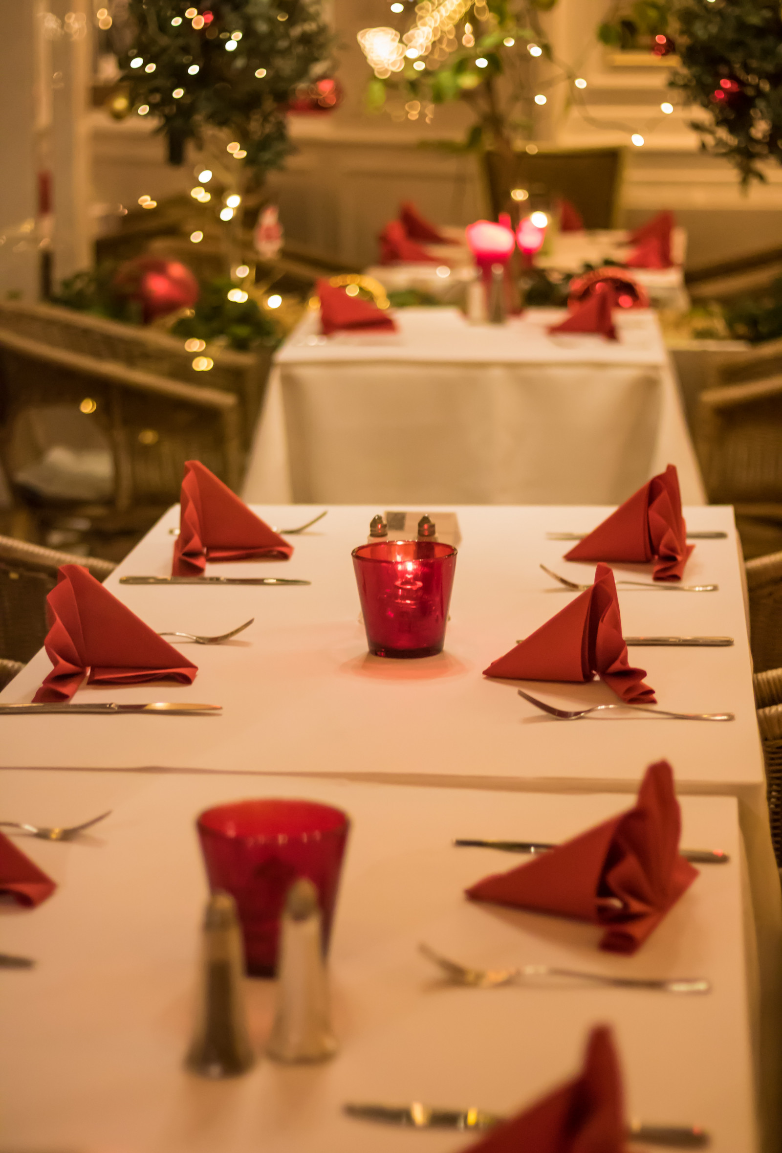 noc, Červené, stůl, Vánoční strom, Vánoce, Dánsko, barva, květ, Vánoce, července, Danmark, nightphotography, Tivoli, Natt, exif modelu canoneos760d, geocountry, Kamera aby kánon, geocity, Model fotoaparátu canoneos760d, geostate, geolocation, exif aby kánon, exif isospeed 2500, exif focallength 50mm, EXIF ef50mmf18stm čočka, EXIF otvor 20, kopenhavn, k penhamncopenhagen, nastavení tabulky, bord, dukning, vánoční dekorace