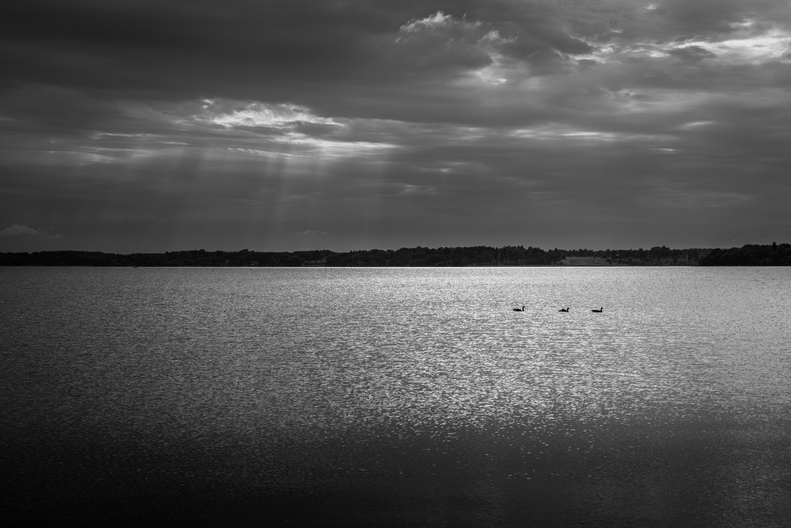 slunečnímu záření, černobílý, západ slunce, moře, jezero, voda, Příroda, odraz, nebe, mraky, večer, ráno, horizont, atmosféra, Švédsko, soumrak, Sverige, Černý a bílý, mrak, svítání, venkovní, oceán, nik, se, tma, nikond750, sv, jezero, atmosférický jev, Černý a bílý, monochromatické fotografování, meteorologický jev, polarizátor, silverefexpro, uppsalal n, nikviveza2, afsnikonvr703004556gifed
