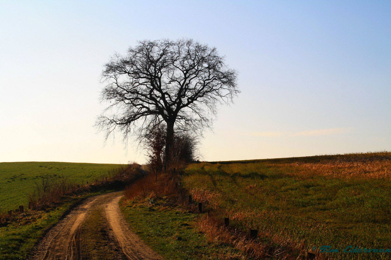 Fondos de pantalla : paisaje, colina, naturaleza, césped, cielo
