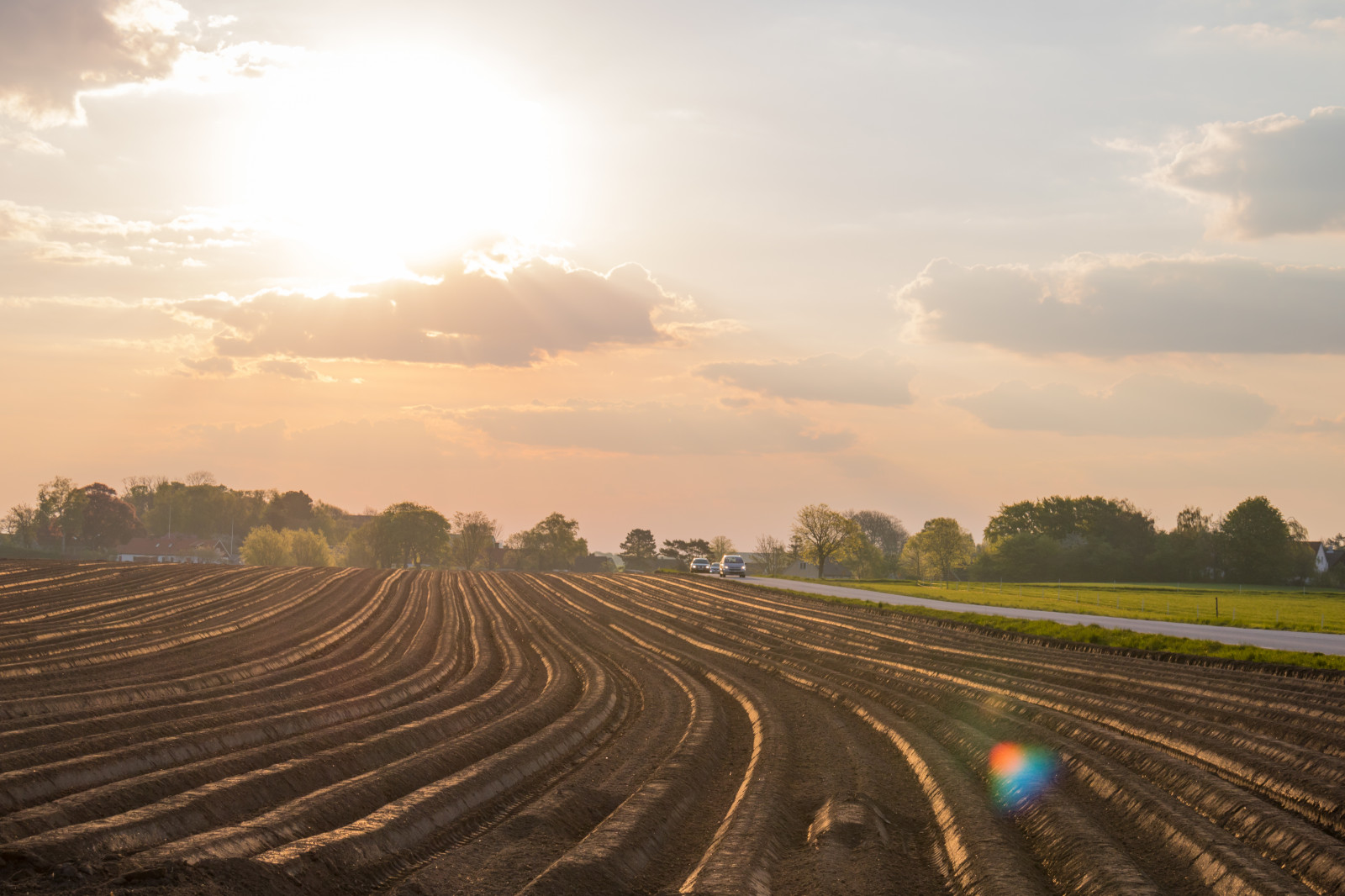 luce del sole, paesaggio, tramonto, collina, natura, cielo, campo, strada, Alba, sera, mattina, orizzonte, autostrada, crepuscolo, infrastruttura, nube, alba, campagna, landsbygd, v g, s dersl TT, Landskap, Morgon, Gisl v, traccia, agricoltura, pianura, prateria, area rurale, fenomeno atmosferico