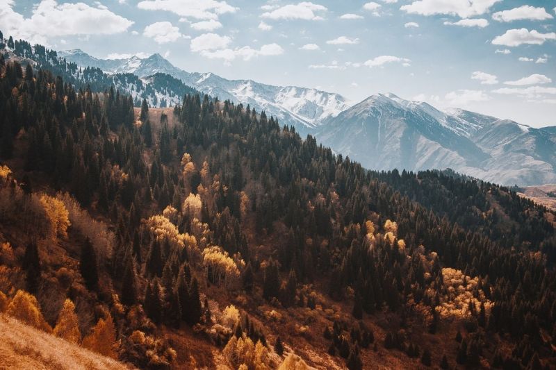 krajina, Příroda, les, národní park, údolí, divočina krajina, Příroda, les, národní park, údolí, divočina
