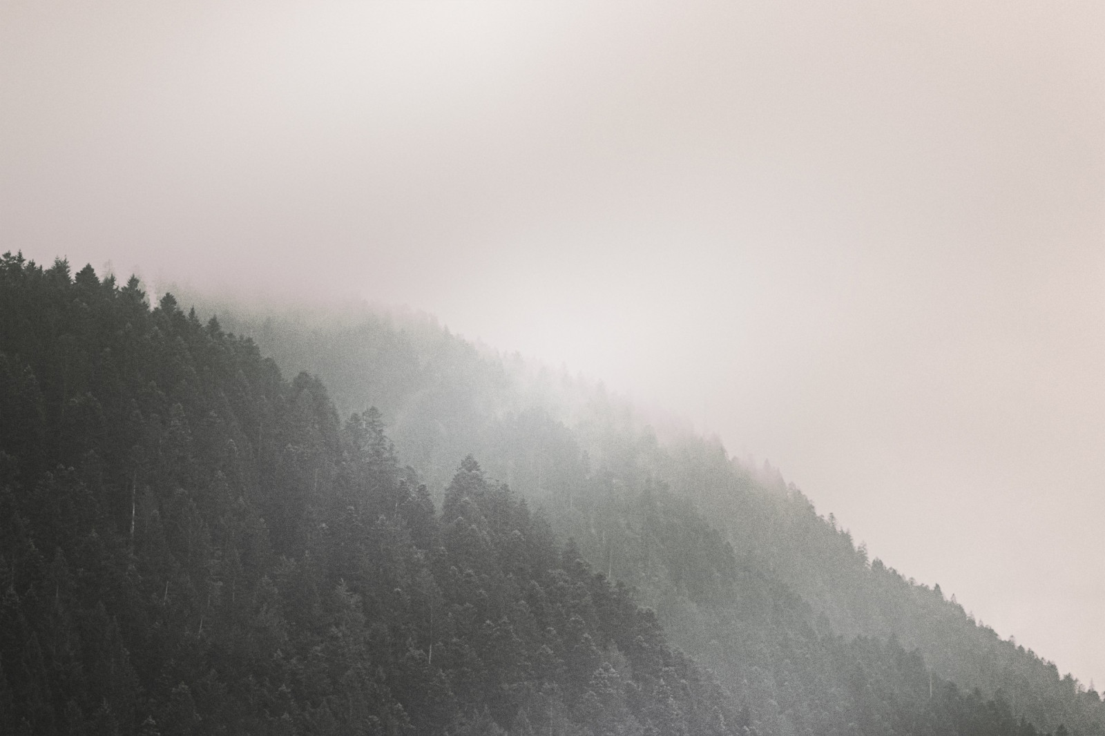 日光, 木, 森林, 山々, 丘, 自然, 雪, 朝, ミスト, 雰囲気, ヘイズ, サミット, リッジ, 雲, 霧, 山, 天気, 夜明け, 大気現象, 地球の雰囲気, 山岳地形, 地形, 山脈