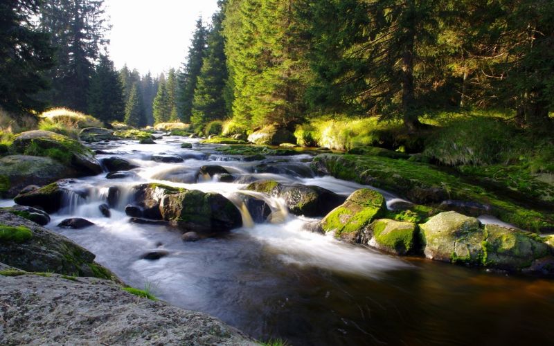 krajina, les, vodopád, voda, Skála, Příroda krajina, les, vodopád, voda, Skála, Příroda