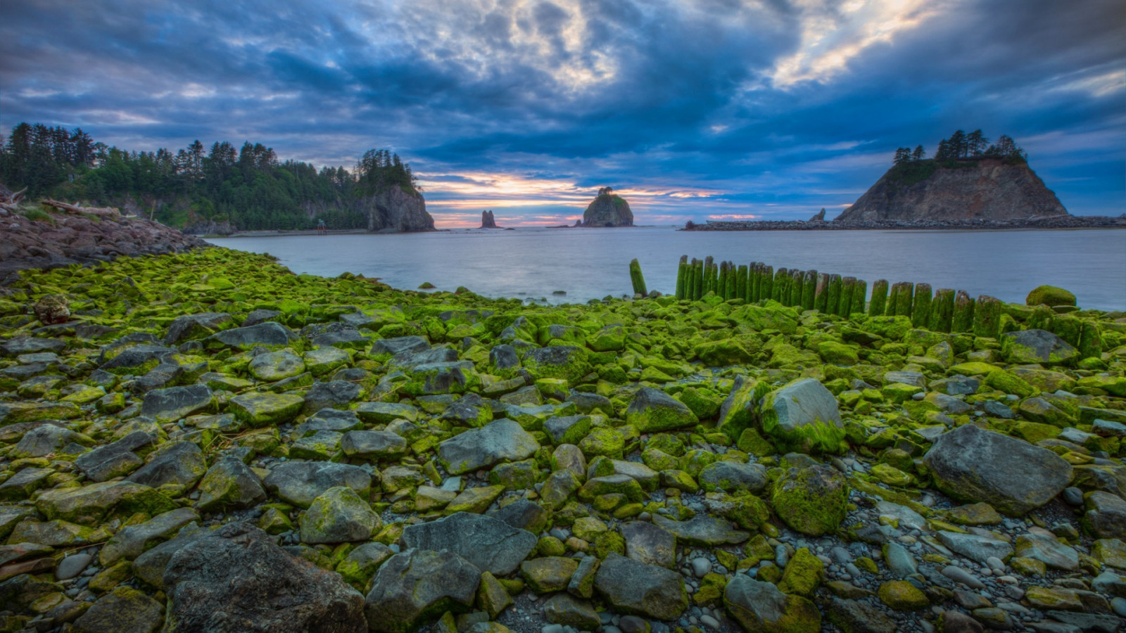 alberi, paesaggio, foresta, tramonto, mare, baia, acqua, roccia, natura, puntellare, pietre, nuvole, spiaggia, muschio, mattina, costa, scogliera, orizzonte, Stati Uniti d'America, mantellina, Olympic National Park, Terreno, oceano, baia, tropici, landform, caratteristica geografica, corpo d'acqua