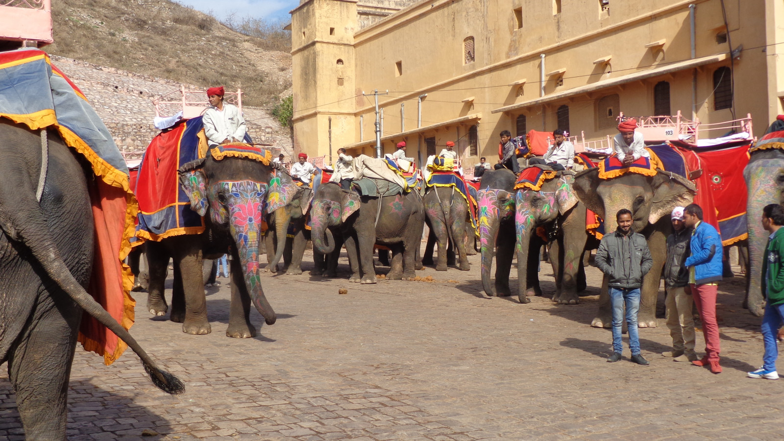 Indie, rajasthan, Jaipurpinkcity, Jaipur, jantar, Amberfort, pevnost, slon, Indianelephant, Asianelephant, Asie