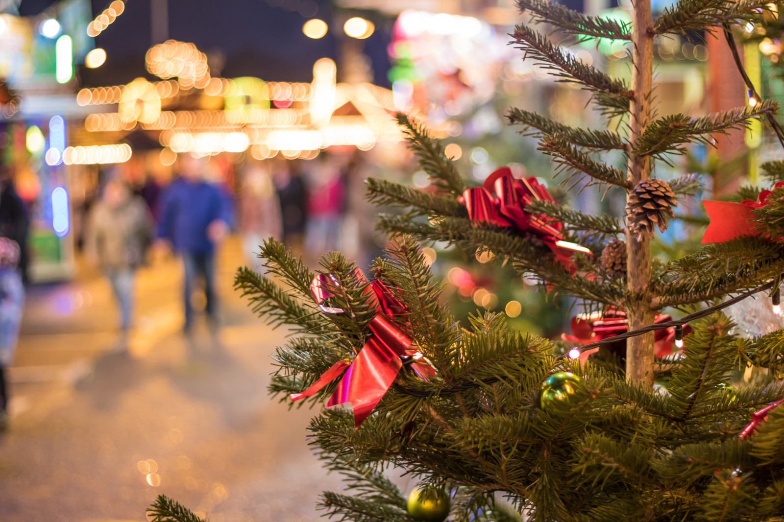 Wallpaper branch, Germany, Christmas Tree, holiday, event, tree, xmas