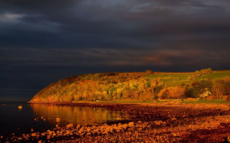 แสงแดด, แนวนอน, พระอาทิตย์ตก, ทะเล, ต้นไม้, กลางคืน