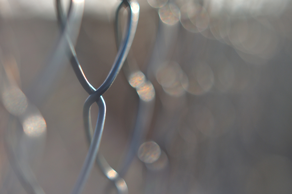 vand, vinter, fotografering, afdeling, hegn, L beck, lys, dråbe, deutschland, Kvist, computer tapet, tæt på, makrofotografering, fugtighed, Zaun, schleswigholsteinkreisfreiehansestadtl beck, GER, 2017ckarinslinsede, 046.365, transparency and translucency