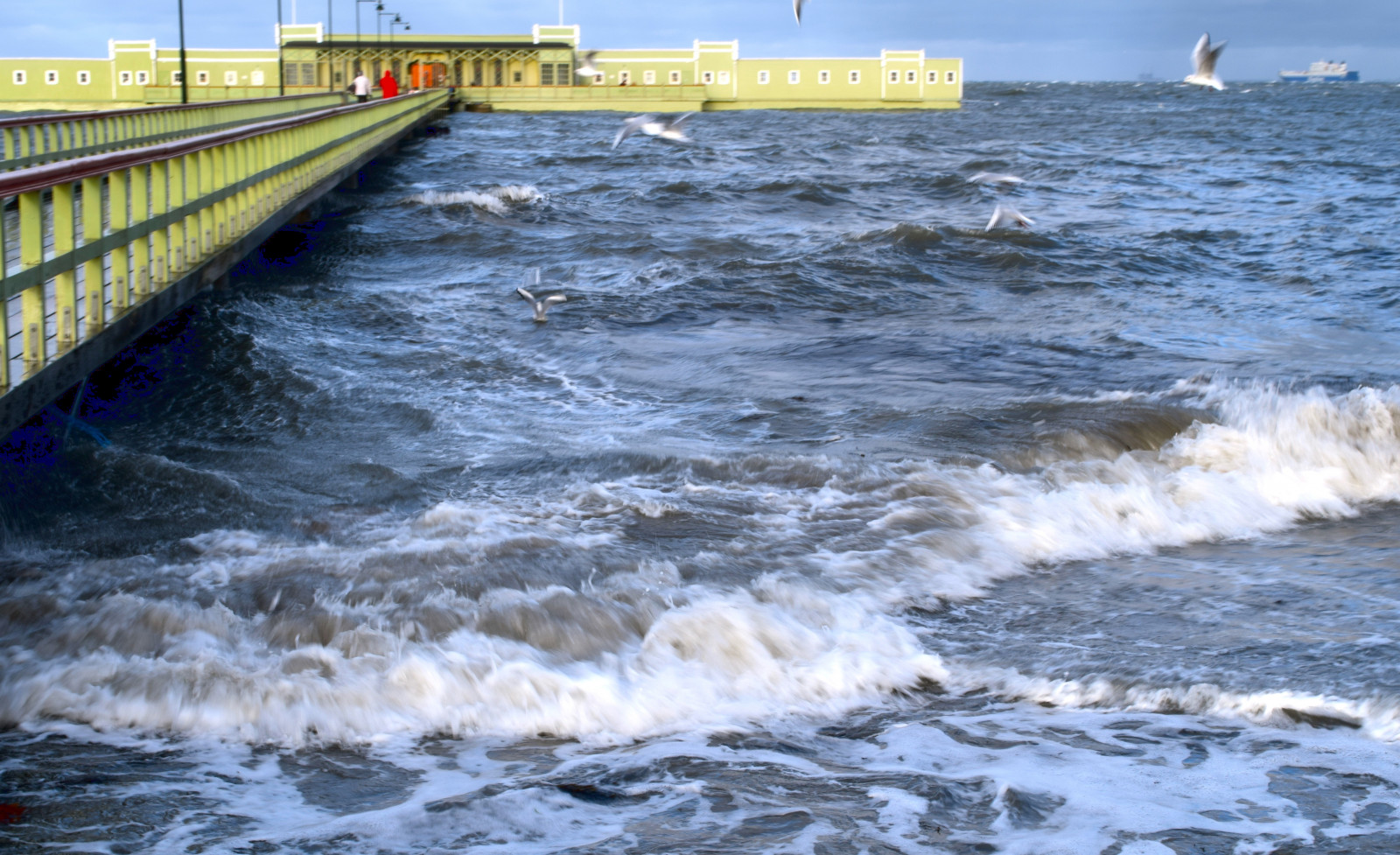 hav, vand, kyst, vinter, køretøj, strand, storm, kyst, bro, flod, måger, Sverige, vejr, ocean, bølge, malmø, Kallis, ribersborgsstrand, kanal, Hurtig, vind-bølge, bølgebryder