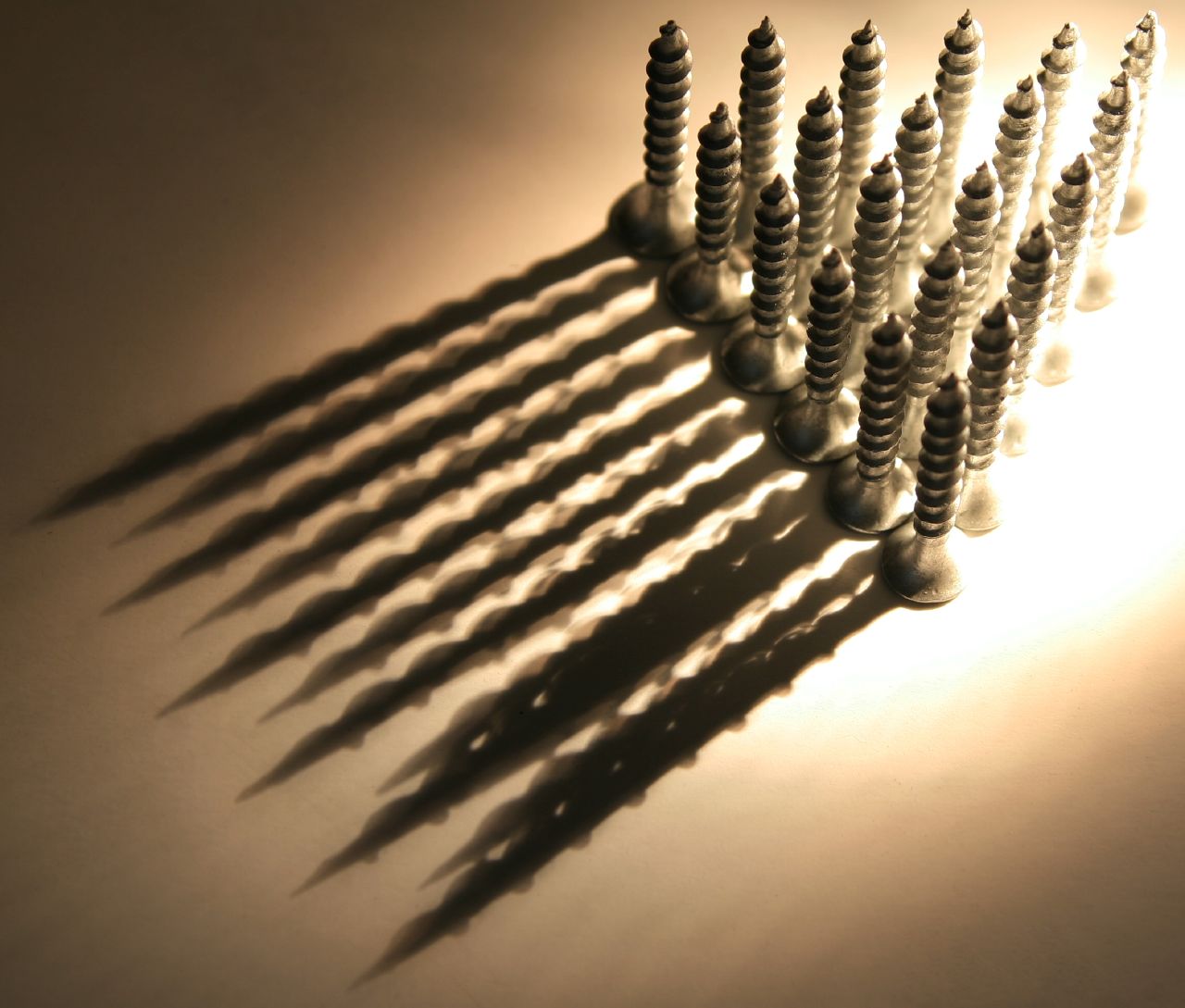 les, stín, profil, sépie, trojúhelník, Kánon, šroub, hlava, Kroutit, Hardware, úhel, UMĚNÍ, světlo, Klenot, zavřít, nahoru, 21, anawesomeshot, komfortní, bod, zblízka, makro fotografie, co, thegoldenmermaid, galvanizovaný, Sádrokarton, Spojovací materiál, Závitové, Baubcat, Zlzq