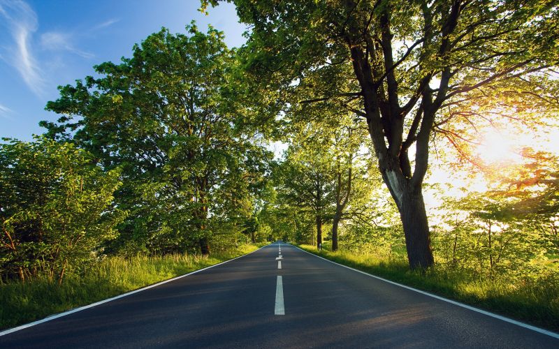 sunlight, nature, road, morning, highway, asphalt sunlight, nature, road, morning, highway, asphalt
