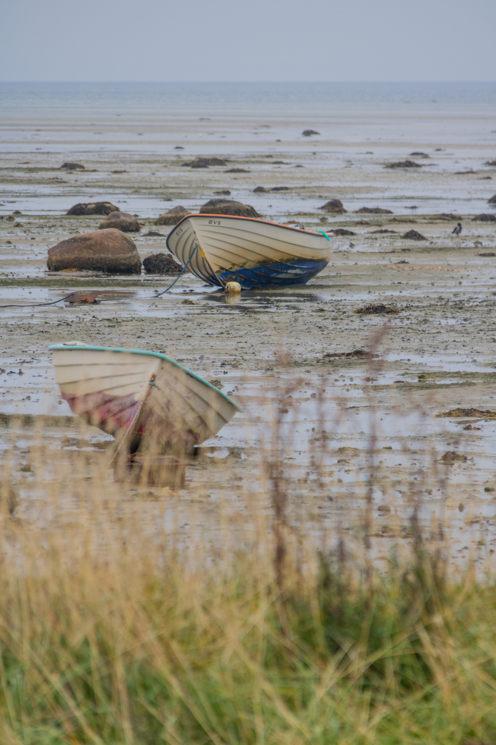 loď, moře, záliv, voda, Skála, Příroda, pobřeží, písek, pláž, pobřeží, Volně žijících živočichů, Dánsko, mokřadní, oceán, vlna, b t, Danmark, kust, exif modelu canoneos760d, geocountry, Kamera aby kánon, geocity, Model fotoaparátu canoneos760d, geostate, geolocation, EXIF čočka efs18200mmf3556is, EXIF otvor 56, exif aby kánon, exif isospeed 400, exif focallength 185mm, slapy, tidewater, tidvatten, dalbyhuse, bažina, místo výskytu, přírodní prostředí, tělo z vody, mělčina při ústí řeky