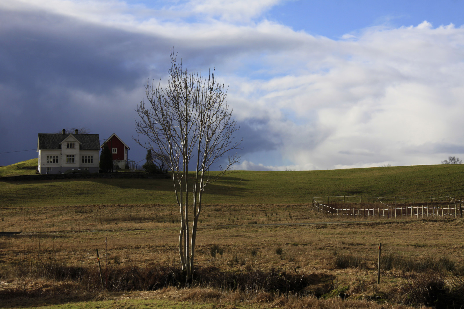 krajina, kopec, Příroda, tráva, nebe, zima, pole, Norsko, ráno, hospodařit, vítr, horizont, 2015, step, mokřadní, Skandinávie, mrak, strom, Landschaft, hora, lučina, fotografie, Vinter, pastvina, pole, landskap, zemědělství, louka, prostý, foto, Skandinavien, Hordaland, prérie, norvege, Noruega, vestlandet, Norvegia, venkov, místo výskytu, přírodní prostředí, dřevina, Scandinavie, Noreg, únor, landskab, february21, Fusa, Dese, Skandinávie, Strandvik, skandinavija, fusakommune, hordalandfylke, desefoto