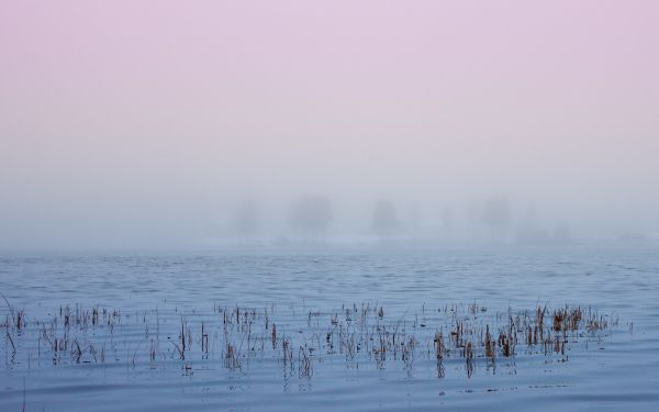 white,hazy,mist,calm waters