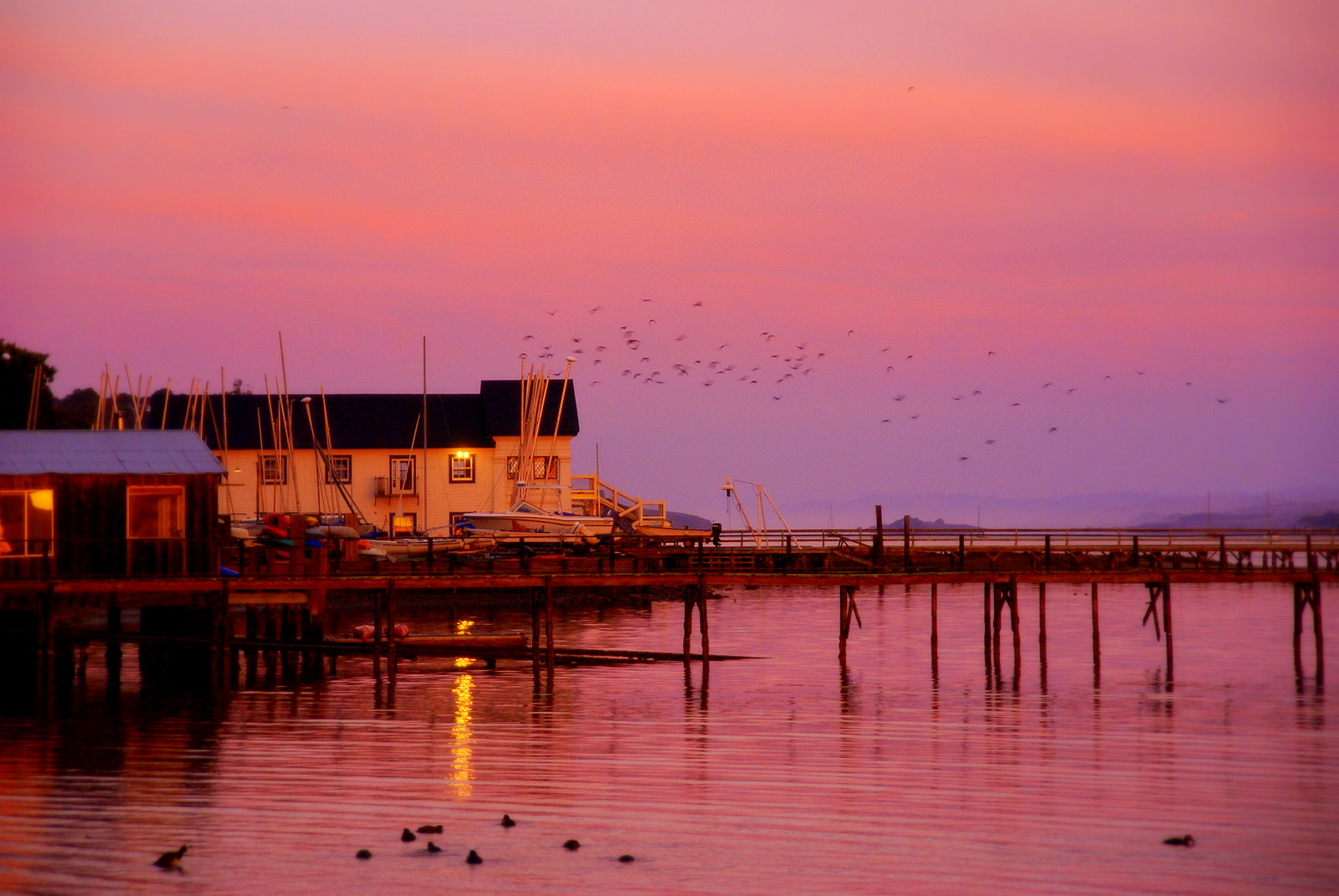 California, tramonto, Contea di Marin, pointreyes, westmarin, Inverness, 2007, tomalesbay, la scelta della gente, beautifulcapture, sonydlsra100, heartawards, quantaray18200, invernessyachtclub, thephotographyblog, vieuxjeantonphilippe