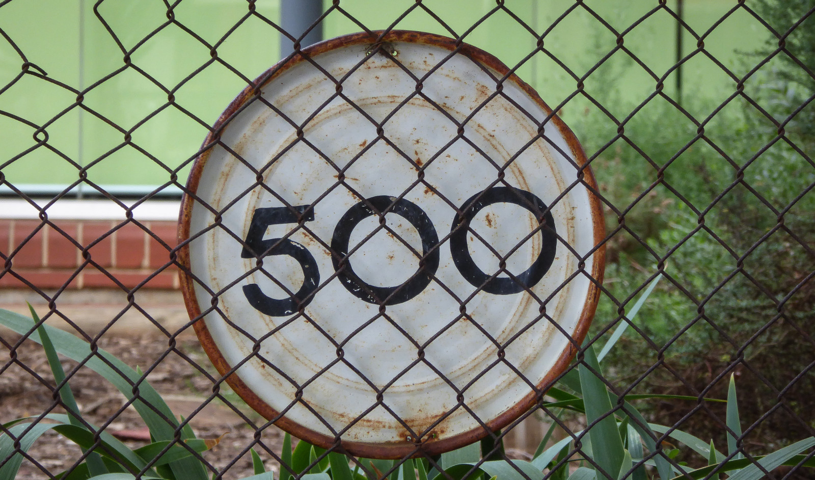 škola, Červené, bílý, Cihlový, zelená, stěna, plot, zahrada, lumix, předměstský, knihovna, Běh, trasa, zrezivělý, fix, Adelaide, kolem, místní, 500, hranice, hlavní, cyklón, duhovky, Víčko, Metr, plechovka barvy, kilometr, theen, Torrensville