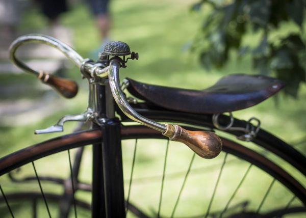 vehicle,tree,plant,old,bicycle,vintage