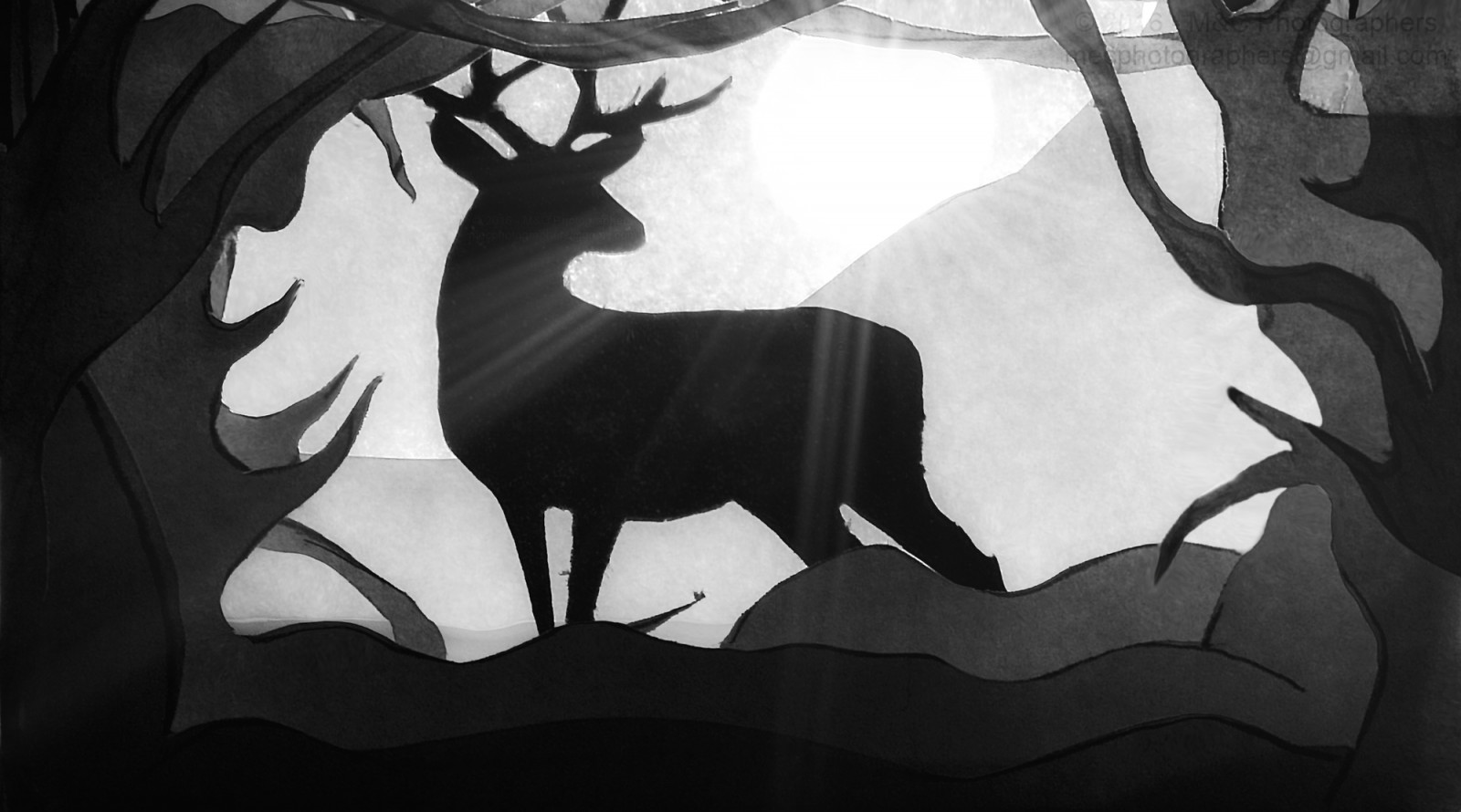 zvíře, animalia, umělý, umění, zadní, Bestie, Černá, tělo, bokeh, cervidae, zavřít, detailní, koláž, barva, složení, řemesla, střih, vystřihnout, hluboký, Jelen, detail, Země, účinek, expozice, Vlastnosti, světlice, Soustředit se, les, Formace, rámování, přední, šedá, horizontální, krytý, interiér, přistát, krajina, objektiv, život, světlo, osvětlení, dlouho, makro, macromondays, savec, Savci, materiál, pondělky, Měsíc, přírodní, orientace, ven, panoráma, papír, fotografování, paprsky, nastavení, odstín, stín, silueta, panoráma, jelen, hvězda, styl, slunce, stezka, nahoru, Pohled, bílý, divoký, Volně žijících živočichů, les, Lesy