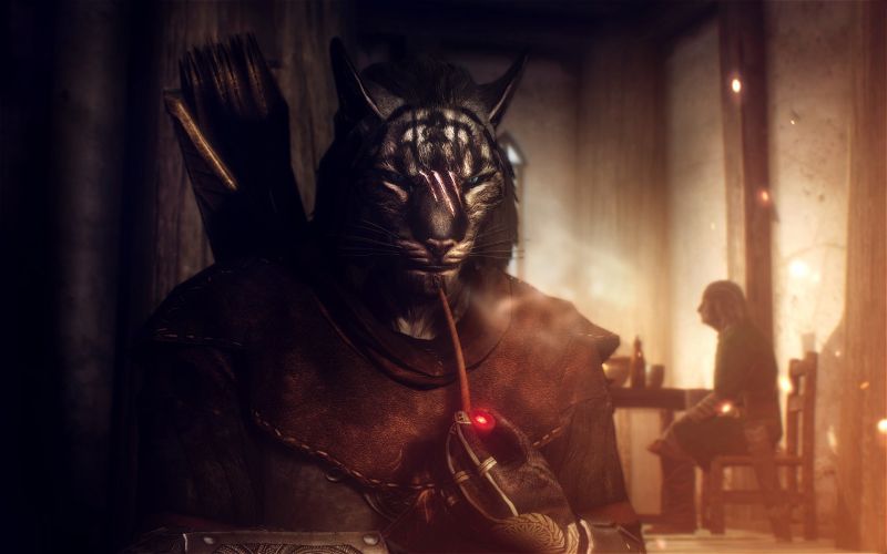 cat, The Elder Scrolls V Skyrim, Khajiit, temple, ART, darkness cat, The Elder Scrolls V Skyrim, Khajiit, temple, ART, darkness