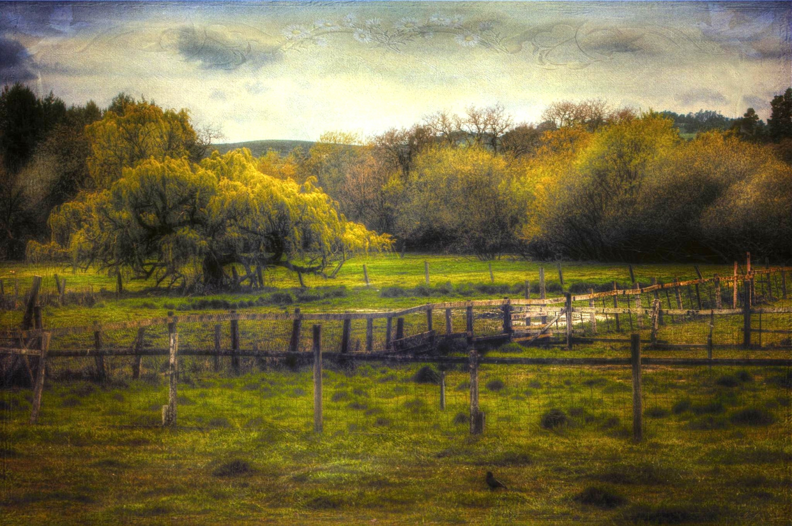 แนวนอน, ทะเลสาบ, ธรรมชาติ, การสะท้อน, ตอนเย็น, เช้า, แม่น้ำ, พื้นผิว, รั้ว, บ่อน้ำ, ปลัก, พื้นที่ชุ่มน้ำ, 2012, ต้นไม้, ฤดูใบไม้ร่วง, ใบไม้, รุ่งอรุณ, ฤดู, mar, ทุ่งหญ้า, ป่าไม้, bestofshining, บึง, ทะเลสาบ, exoticimagespecial, เขตชนบท, ถิ่นที่อยู่, สภาพแวดล้อมทางธรรมชาติ, ปรากฏการณ์บรรยากาศ, ไม้ยืนต้น, บึง, matchclub, hessel