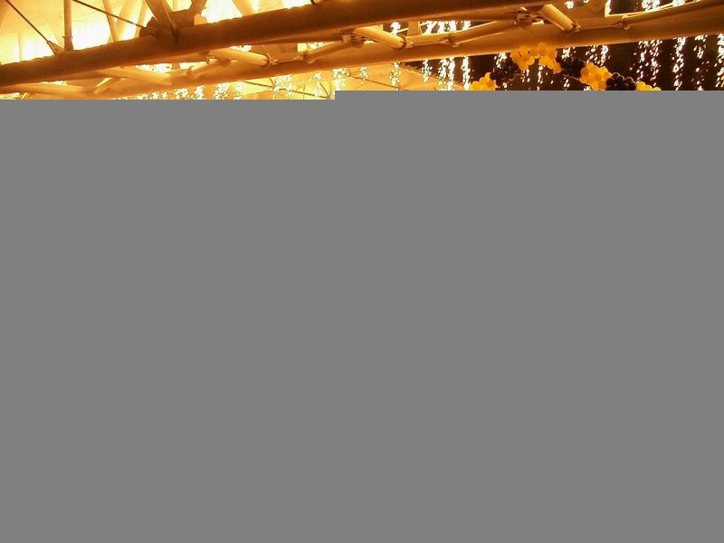 Ảnh chụp màn hình,1280x960 px,bản văn,Fenerbah e,hàng,phông chữ