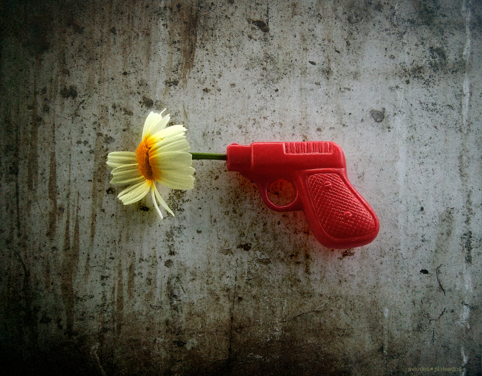 květ, textura, primavera, mobilní, pohybliví, Hračka, jaro, pistole, flor, buňka, LG, chytrý telefon, zbraň, phonecamera, robot, střelná zbraň, Arma, lgd505