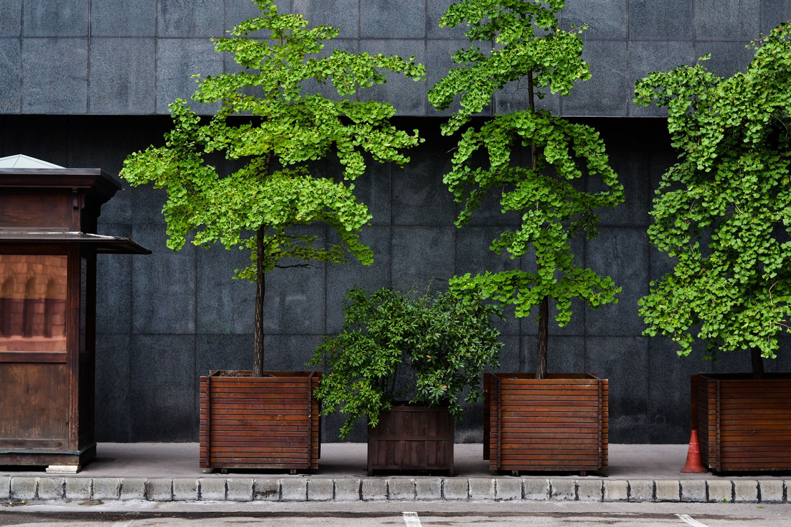 stromy, okno, architektura, rostliny, stěna, dřevo, Dům, zelená, strom, rostlina, domů, fasáda, 1920x1280 px, nádvoří, domácí rostlina