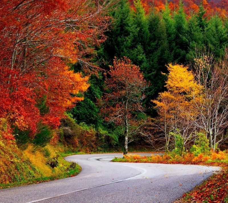 1440x1280 piksel,doğa