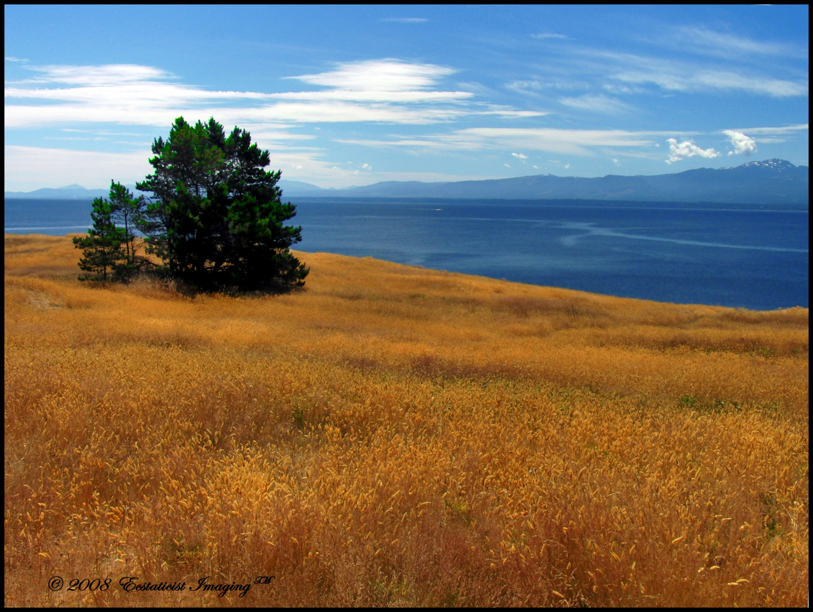 oceán, park, modrý, mrak, hora, Kanada, strom, voda, tráva, ostrov, zlato, Bravo, před naším letopočtem, searchthebest, Britská Kolumbie, Casio, národní, Hornby, helliwell, infinestyle, exf1