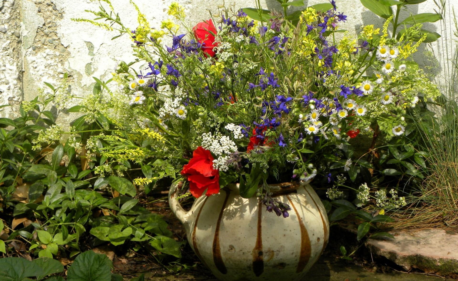 květiny, zahrada, pole, zelená, sedmikrásky, vlčí mák, UMĚNÍ, květ, yard, rostlina, flóra, váza, divoká rostlina, botanika, suchozemská rostlina, kvetoucí rostlina, floristika, aranžování květin, květinový vzor