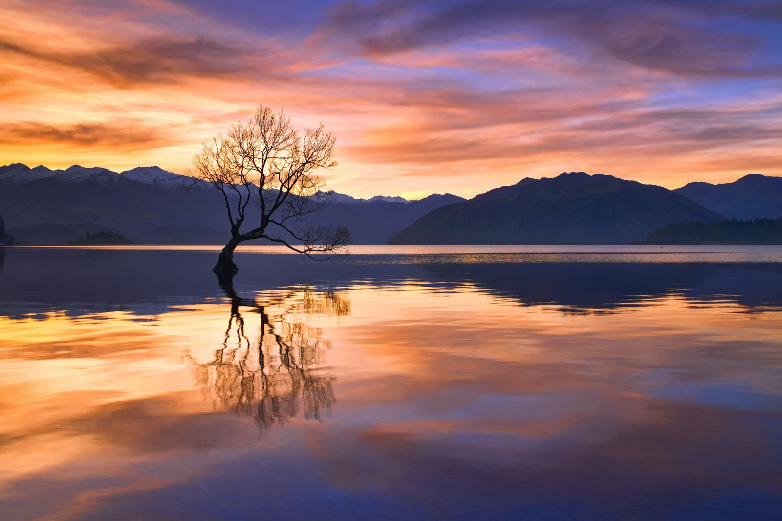 Nueva Zelanda, cielo, luz de sol, Árboles, agua, reflexión, al aire libre, naturaleza