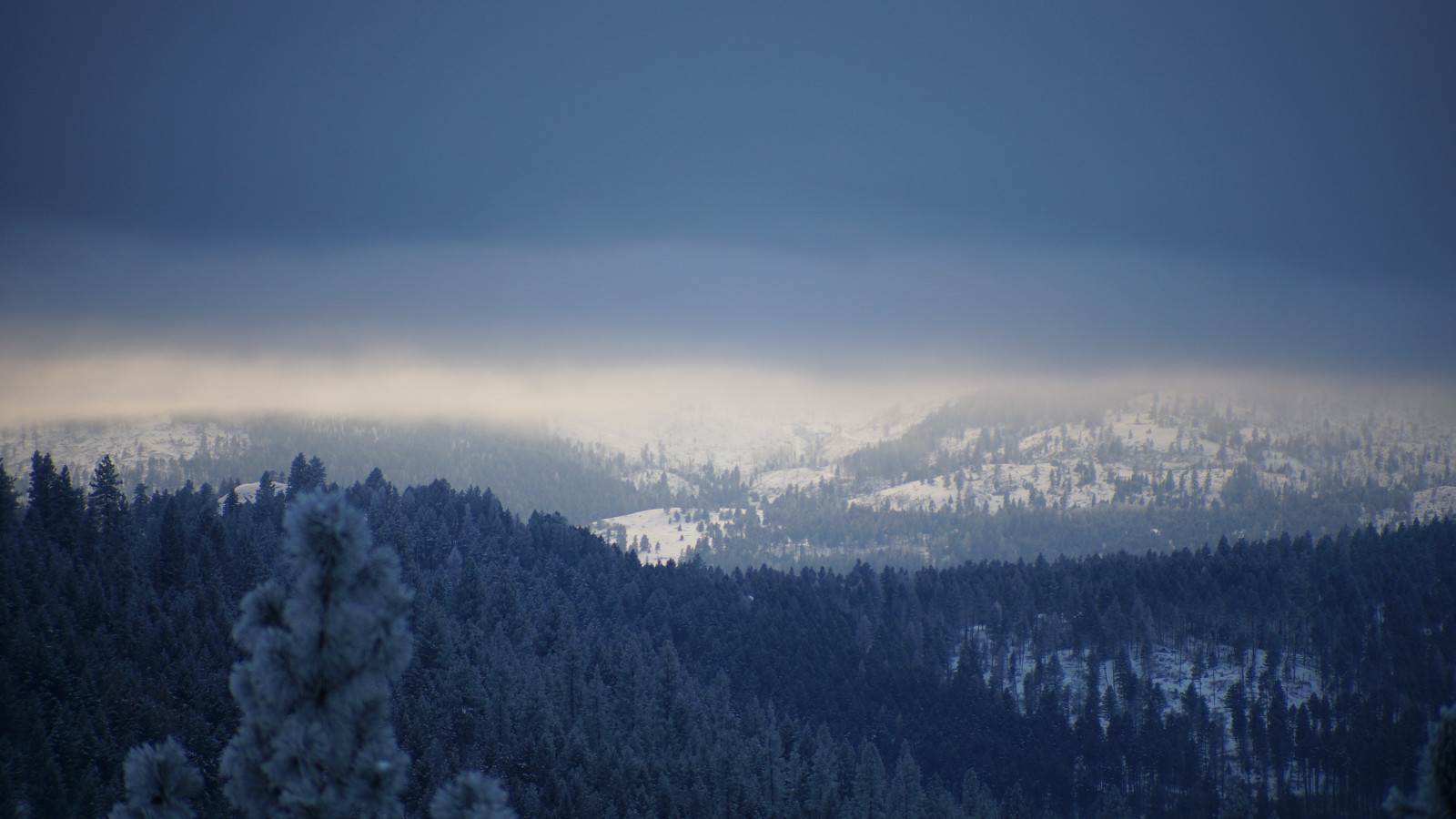 les, hory, Příroda, nebe, sníh, zima, svítání, ráno, borovice, zatažený, soumrak, Alpy, mrak, strom, hora, počasí, svítání, sezóna, atmosférický jev, horských reliéf, landform, geografický rys, pohoří