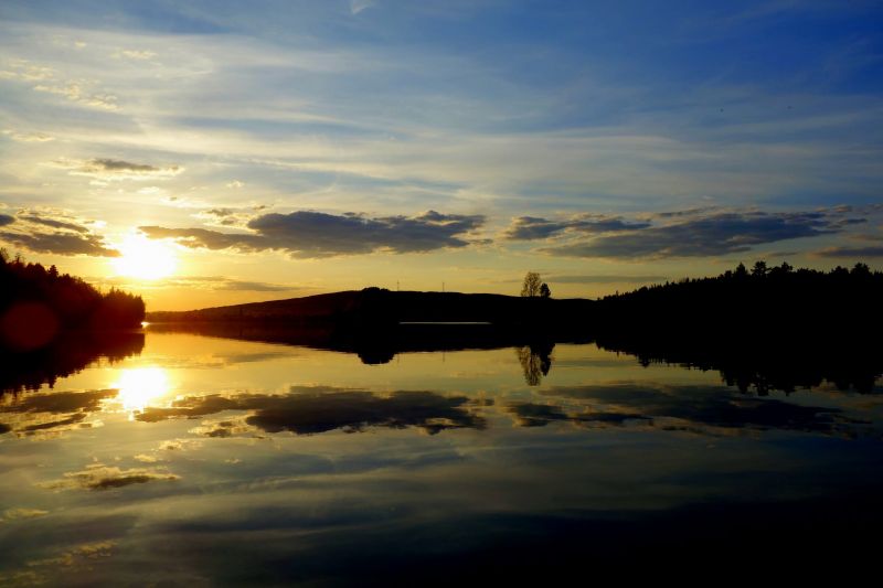 alberi, tramonto, lago, luce del sole, mare, riflessione alberi, tramonto, lago, luce del sole, mare, riflessione