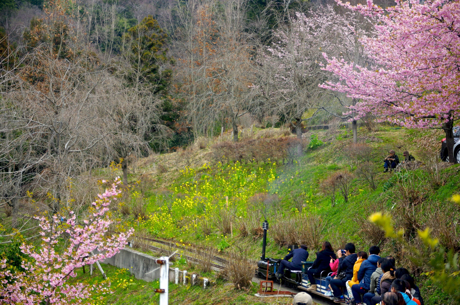 Ferrovia, montagna, fiore, ciliegia, primavera, pentax, fiori, sigma, ferrovia, fioritura, fiore di ciliegio, pentaxart