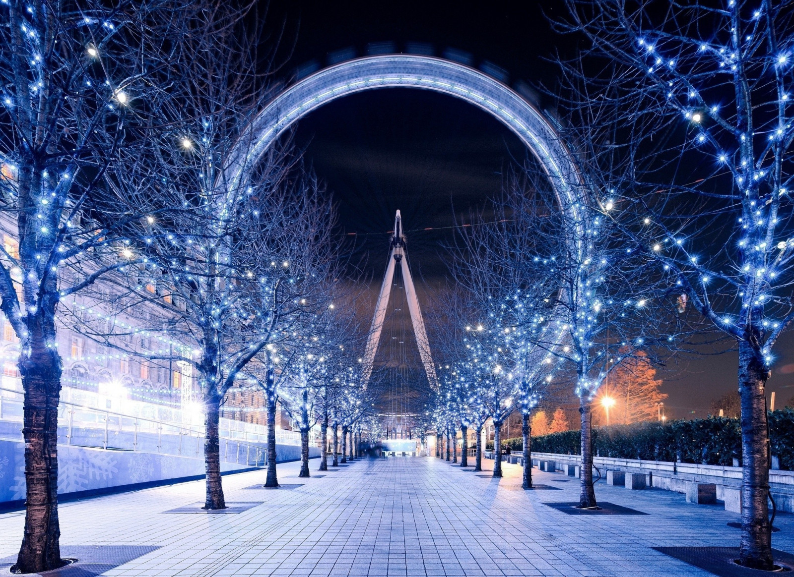 Fond D cran Des Arbres Londres Ville Nuit Ciel Neige Hiver Fond D cran Des Arbres Londres Ville Nuit Ciel Neige Hiver