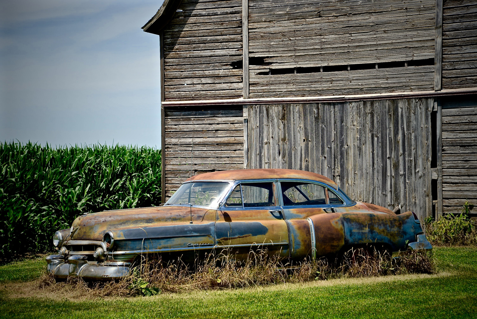 gammel, bil, køretøj, træ, rust, sommer, Nikon, lade, Illinois, 2015, majs, Vintage bil, Cadillac, Rochelle, patina, rusten, juli, il, klassisk, Midtvesten, 1950, oldcar, nikon2485, jord køretøj, bil make, luksus køretøj, antikke bil, forvitret, nikond610, majsstængler, lincolnhighway, oldvehicle, Route38, oglecounty, oldcadillac, 1950cadillac, torcwori, 1950cadillacseries62, 1950cadillacseries62sedan4doorhardtop, 492.015, 1950cadillacseries62sedan4door, 1950cadillacseries62sedan, theoldrustycadillacwestofrohelleillinois
