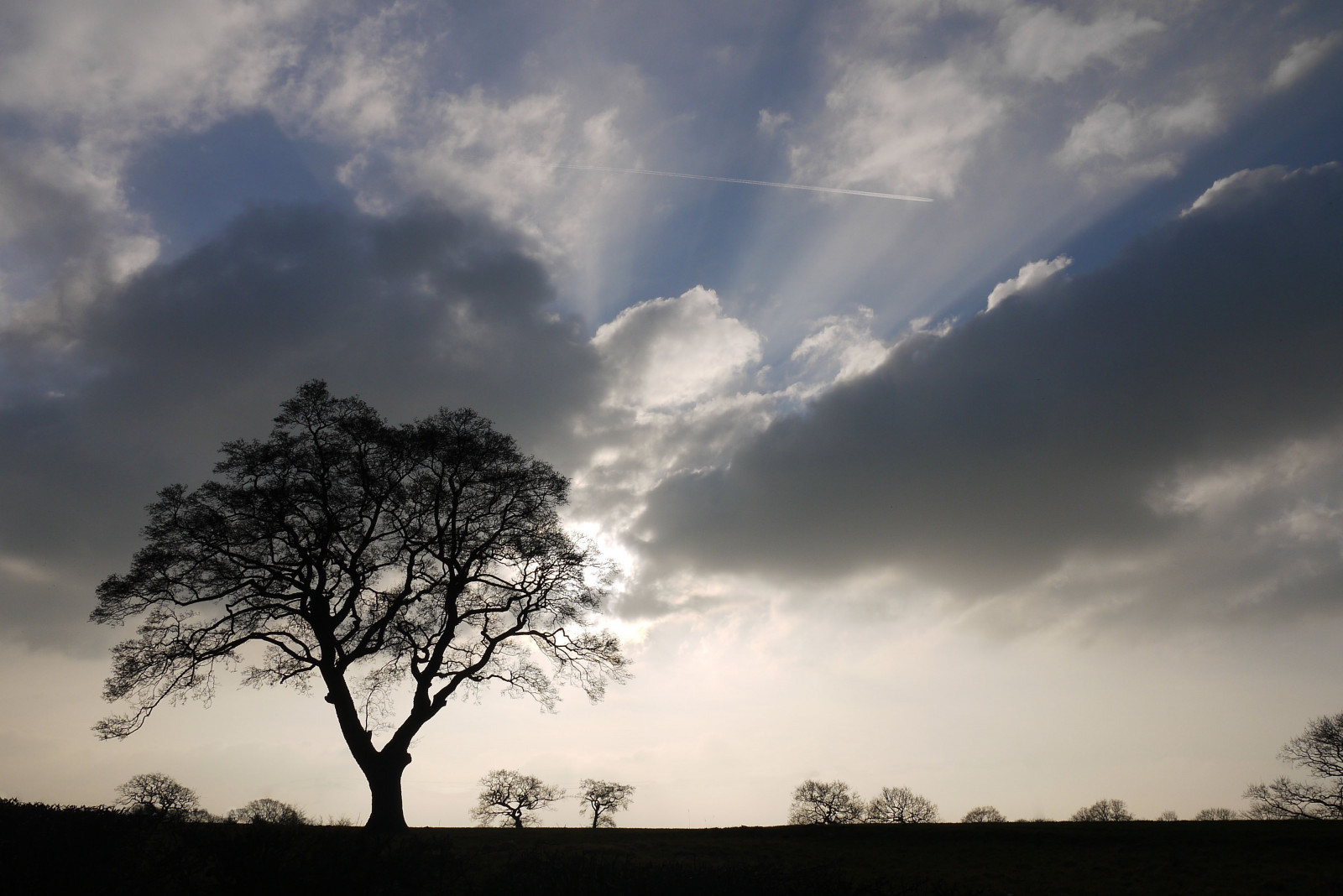 iarnă, cer, lumina soarelui, copac, camp, siluetă, nori, avion, Contrail, razele, februarie