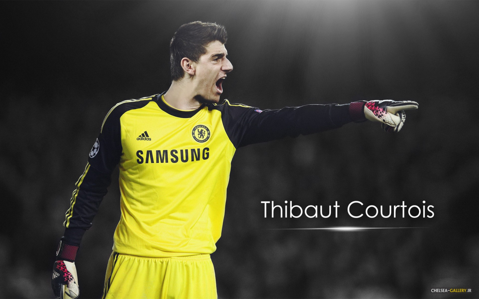 muži, sportovní, sport, brankář, fotbal, Chelsea FC, Courtois, hráč, oficiální, fotbalista