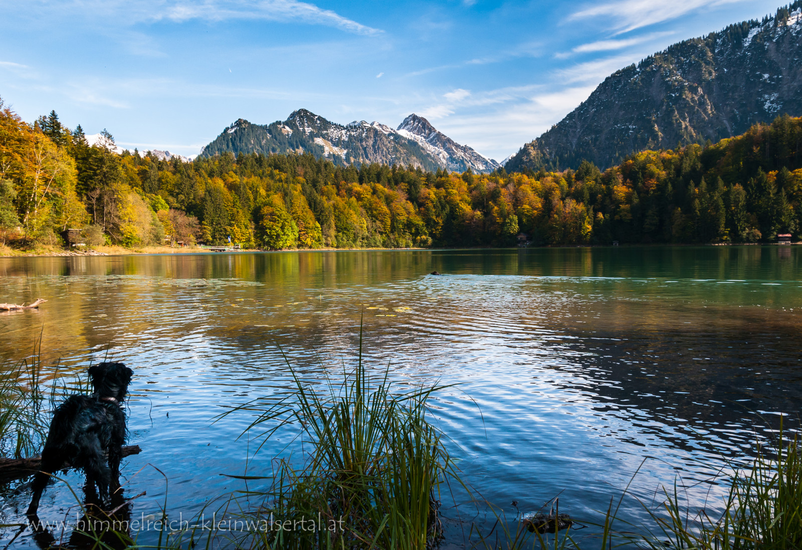jesień, niebo, Góra, odbicie, spadek, Psy, woda, zabarwienie, Chmury, krajobraz, widzieć, Tim, kolorowy, Wasser, Sam, wędrówki, Herbst, Wolken, szeroki kąt, Berge, jasny, Baden, Landschaft, Spiegelung, Wędrowiec, Hunde, Farben, Weitwinkel, Kleinwalsertal, Klare, Freibergsee